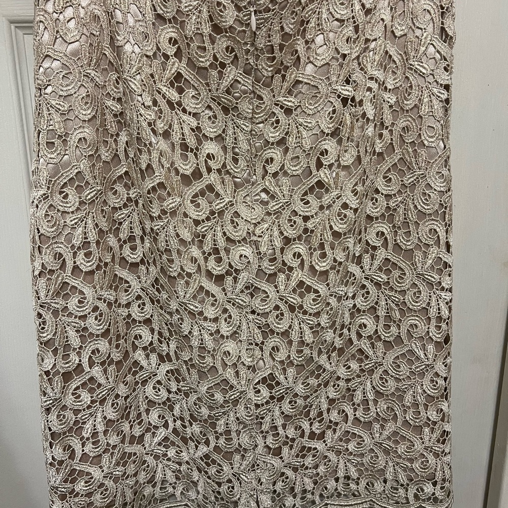 Elegant Lace Skirt with gold threading